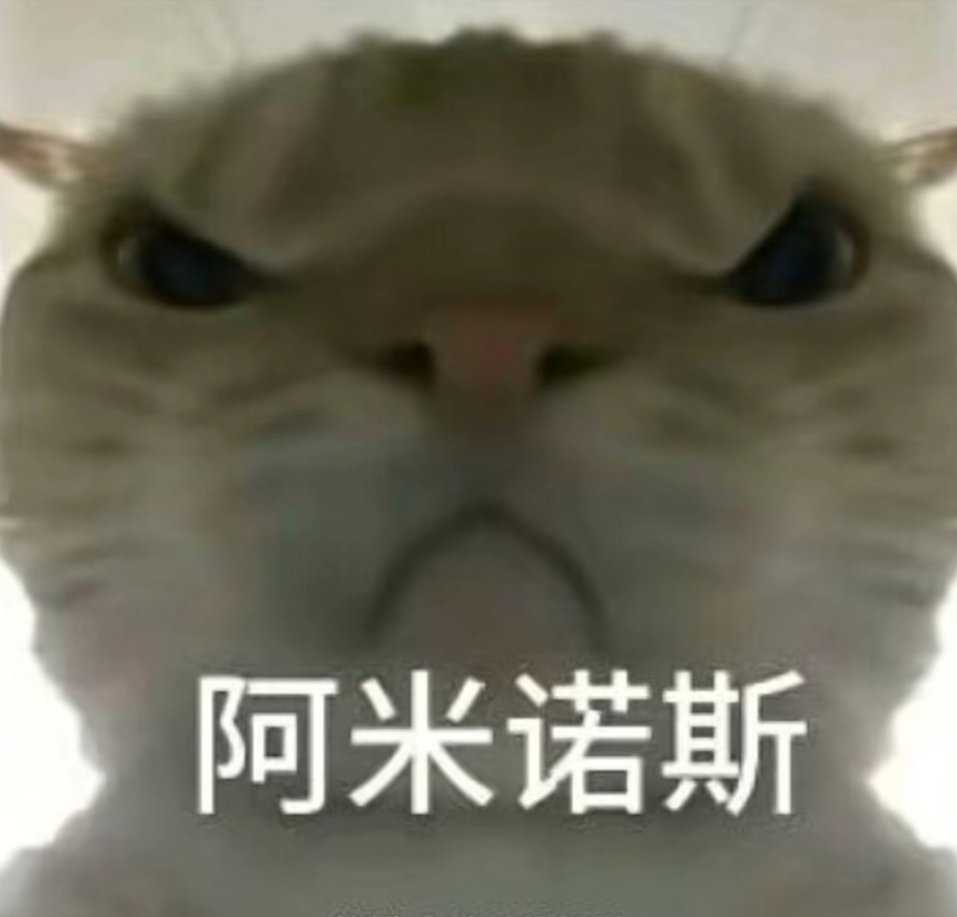 除了選手之