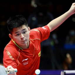 的卓越成就 的卓越成就