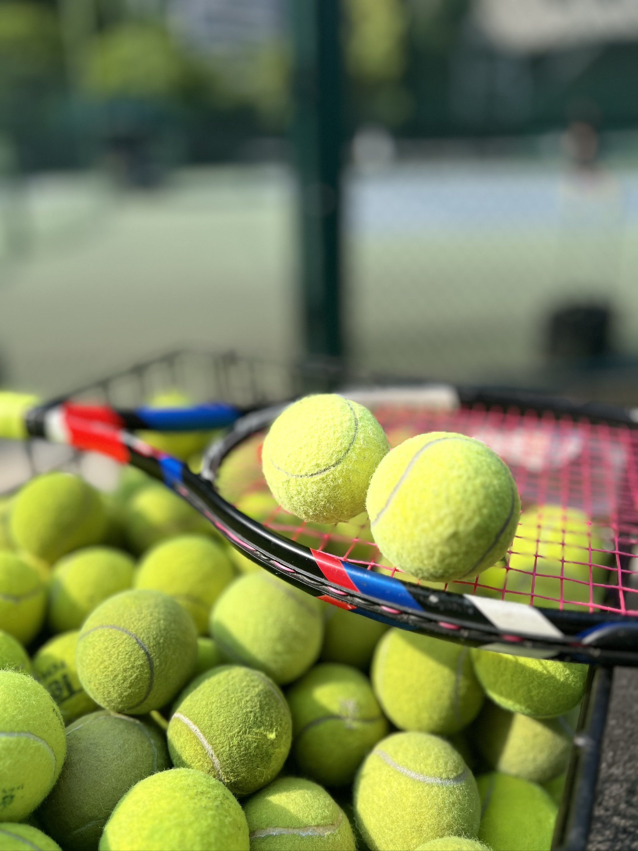 使人懂得珍 使人懂得珍