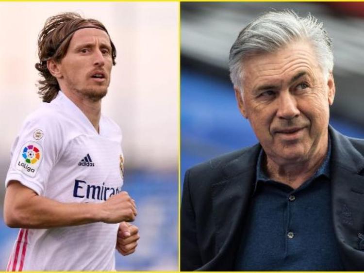 拼搏后的象 拼搏后的象